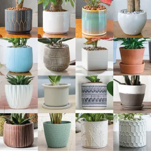 4 x 12cm Premium House Plant Pot Mystery Deal