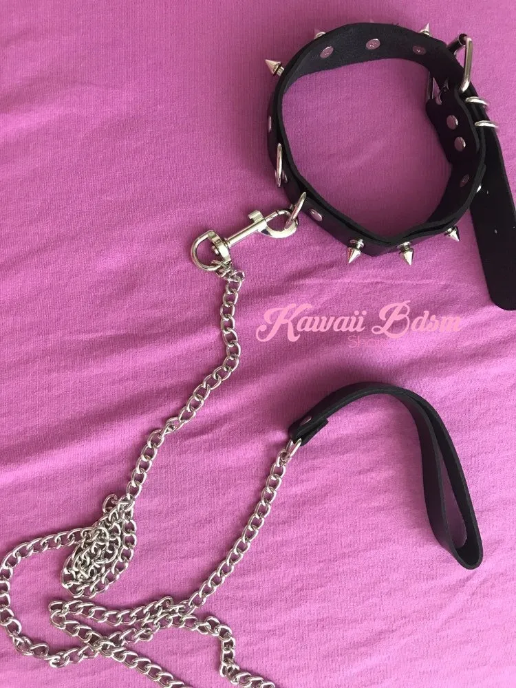 April Collar & Leash Set