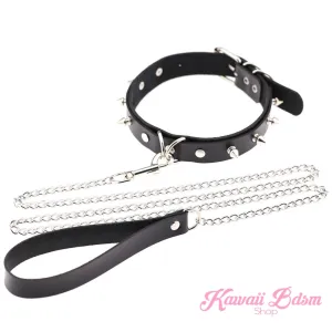 April Collar & Leash Set