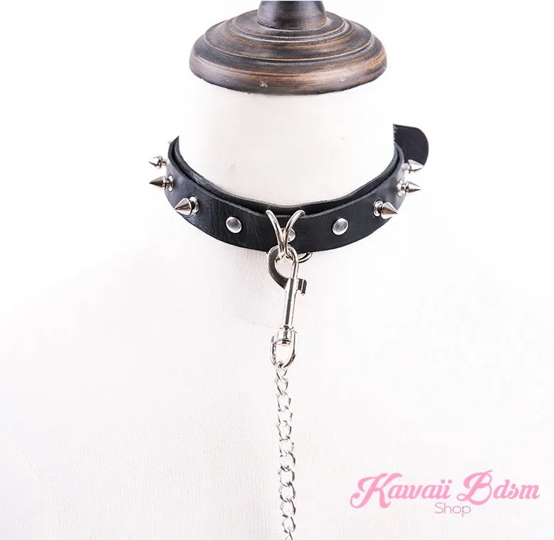 April Collar & Leash Set