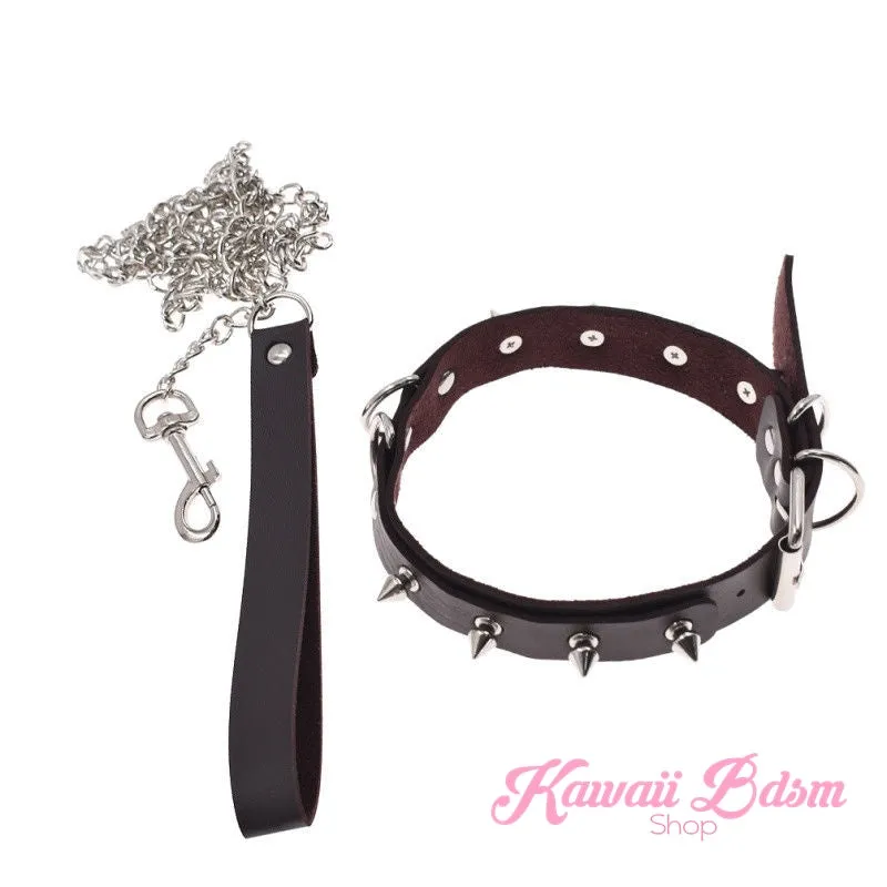 April Collar & Leash Set