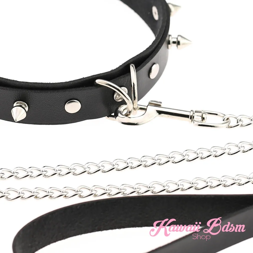 April Collar & Leash Set