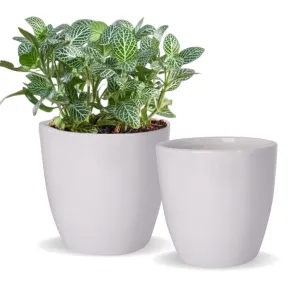 Ceramic Plant Pot