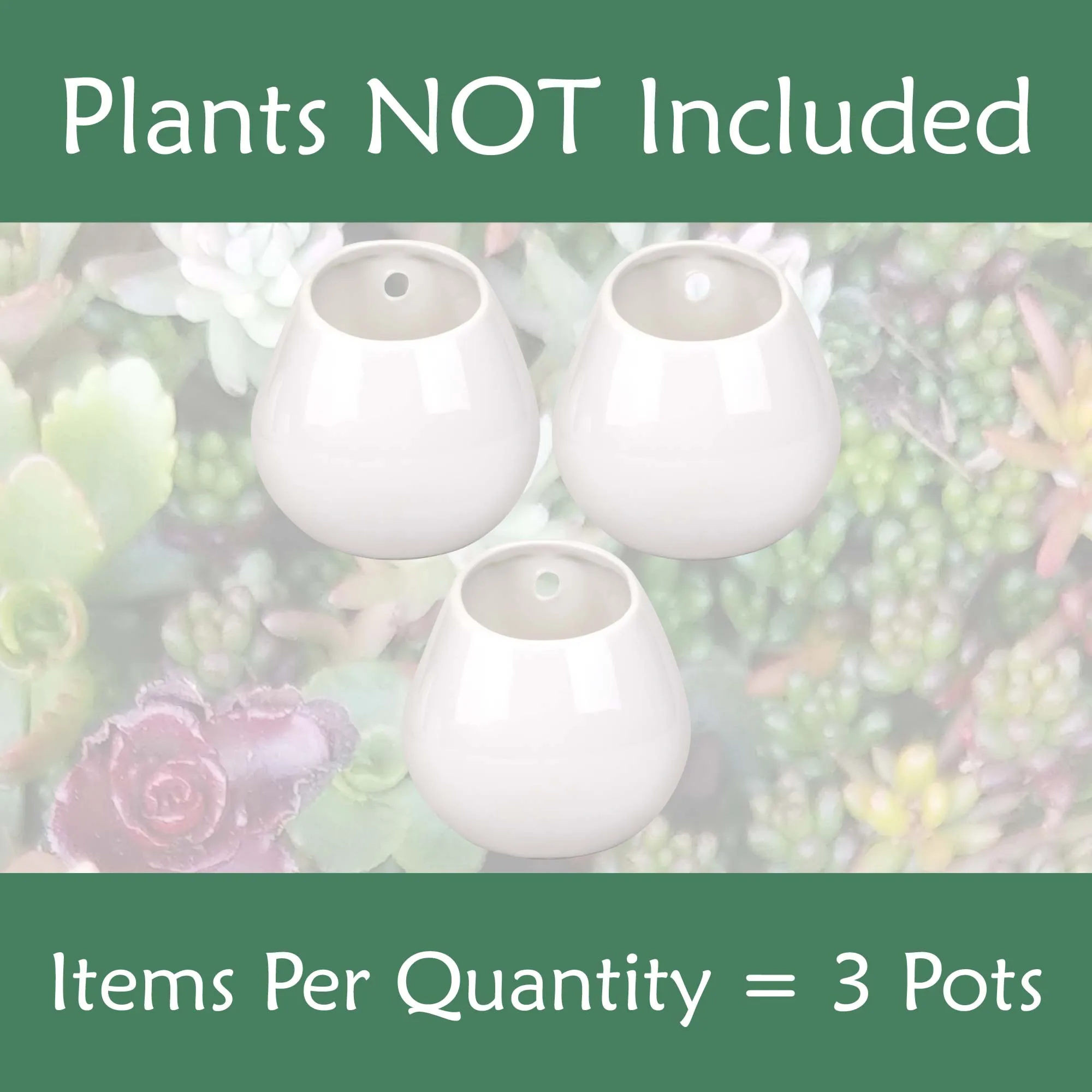 Ceramic Succulent Pot Sets