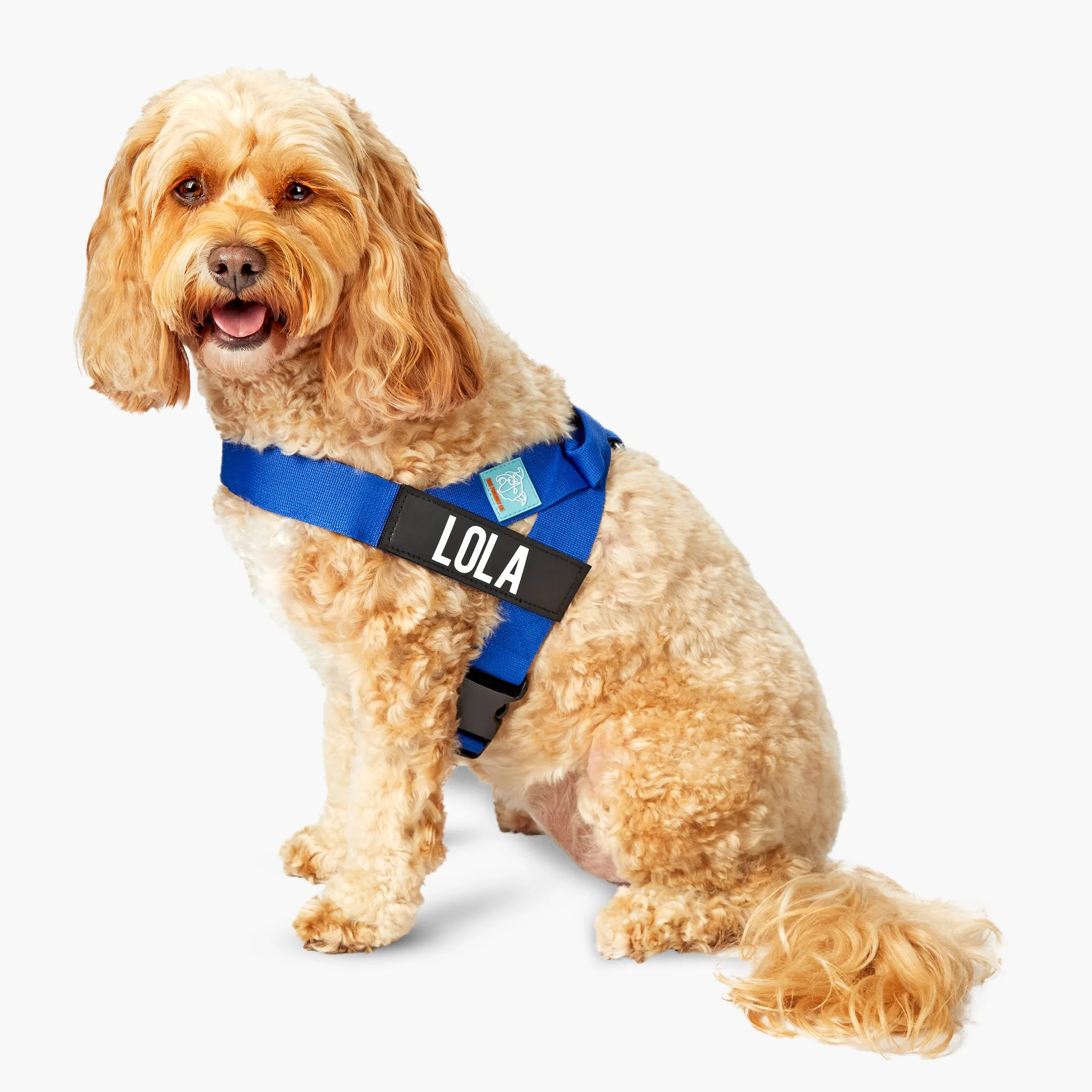 Dog Friendly Co. Dog Harness Classic Blue