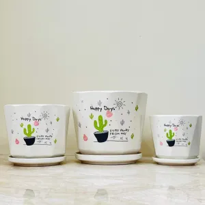 Fun Cactus Print Ceramic Pot Set Of 3