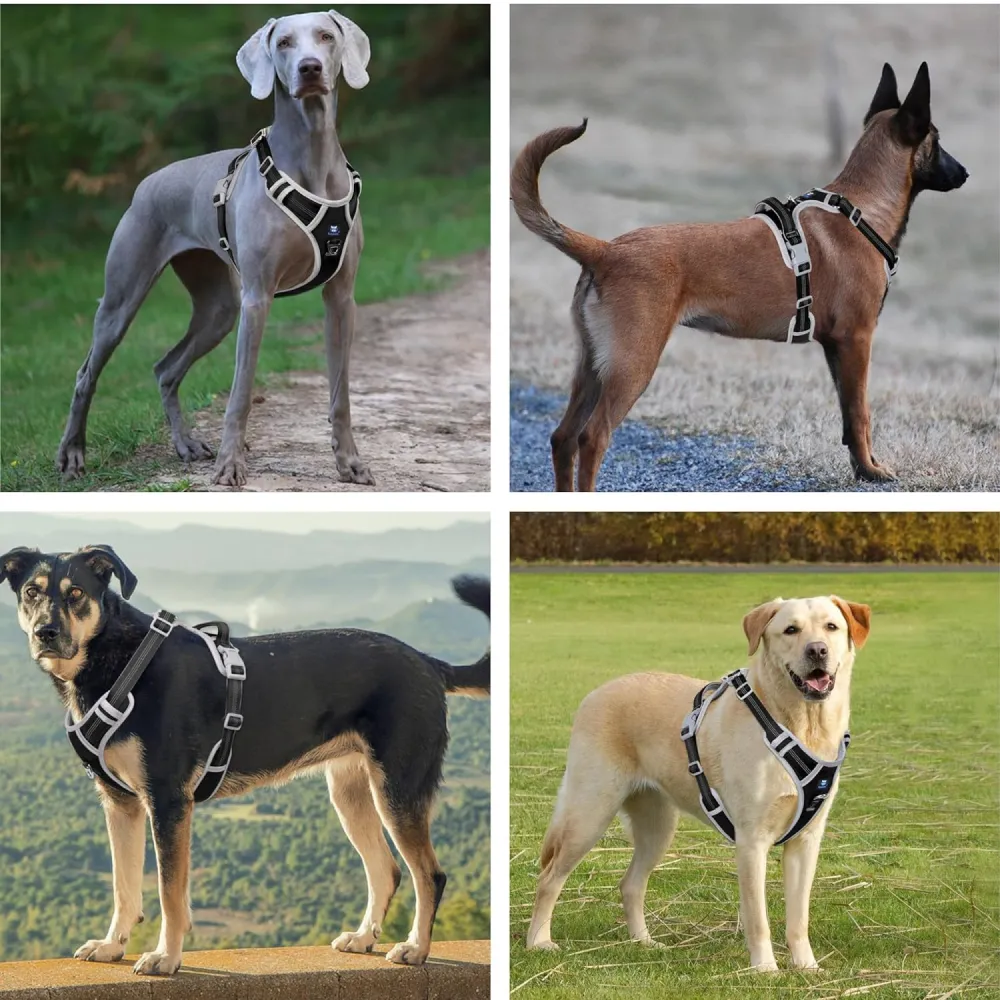 Hank 3M Reflective Harness for Puller Dogs (Grey/Black)