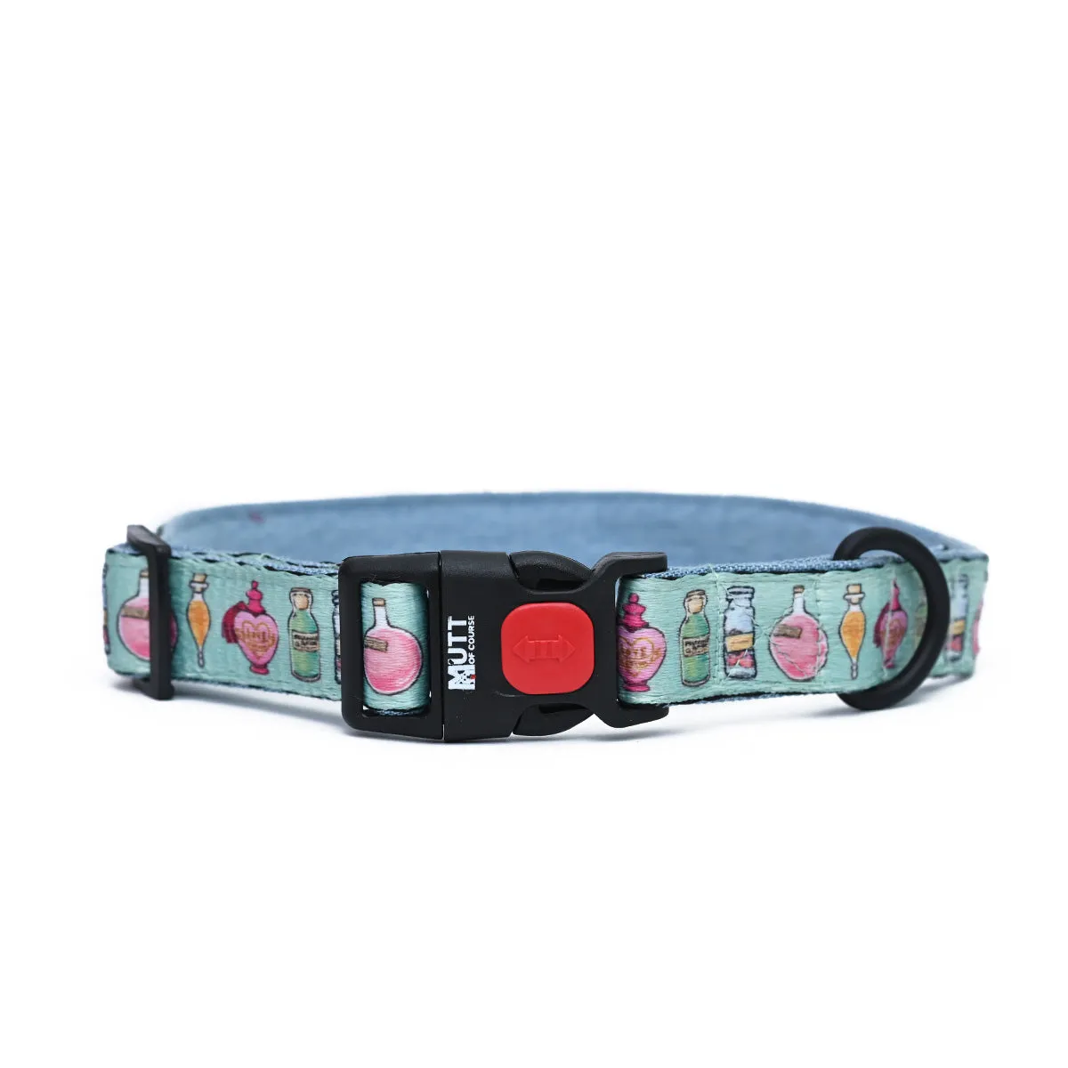 Potions in Motions Dog Collar