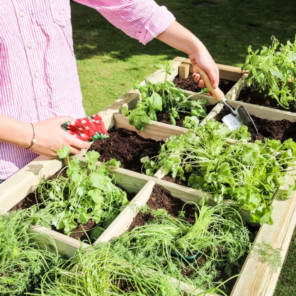 Raised Herb Planter