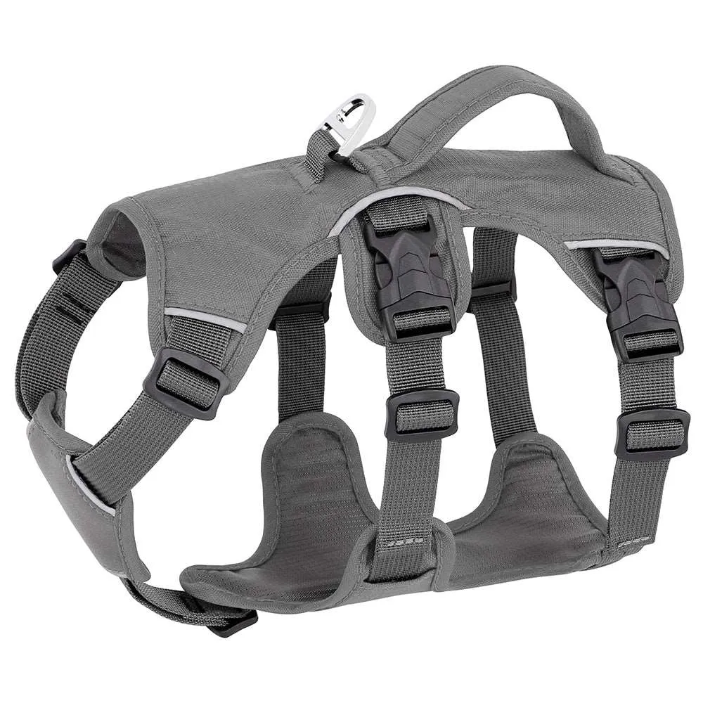 Reflective Escape-Proof Harness