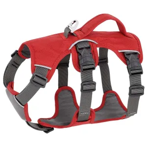 Reflective Escape-Proof Harness