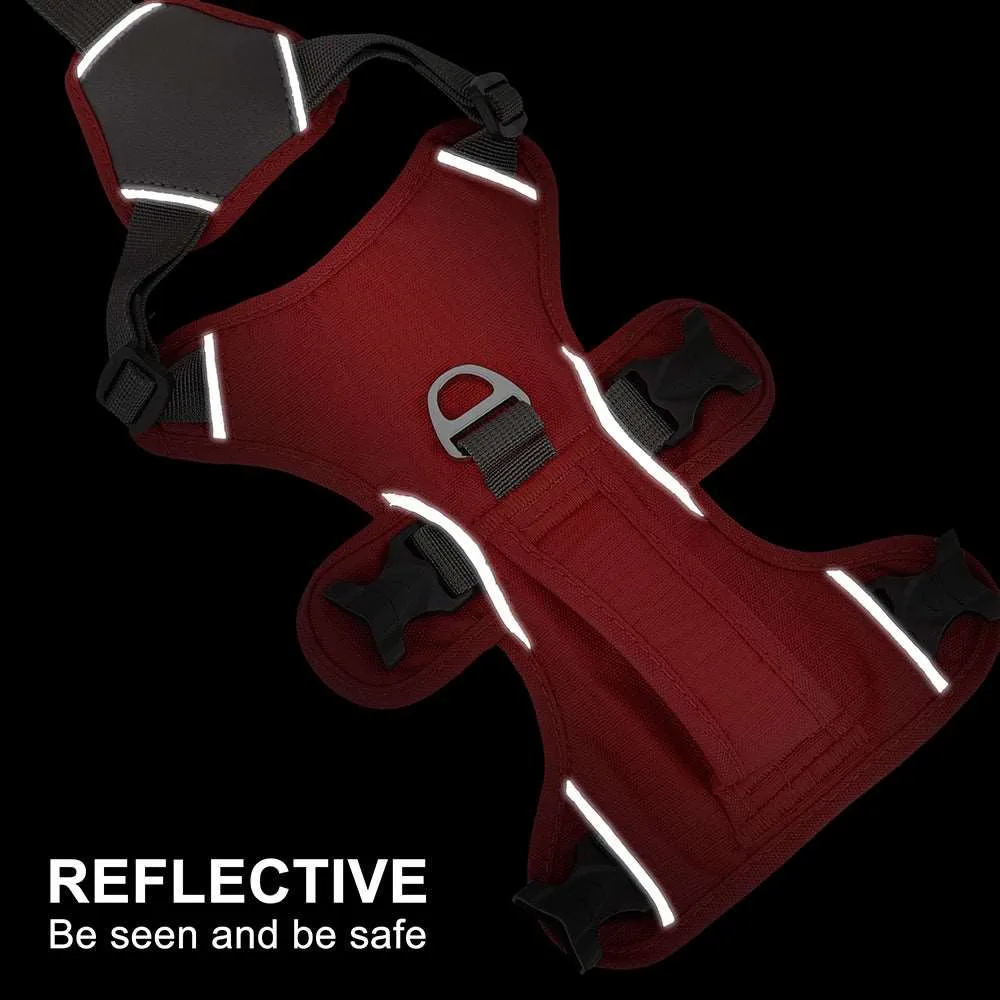 Reflective Escape-Proof Harness