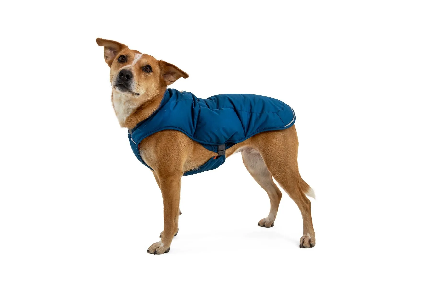 Ruffwear Quinzee Blue Lg (Customer Return)