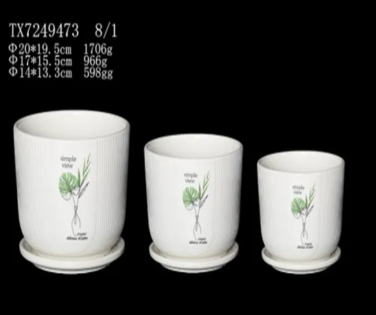 Set of 3 White Ceramic Pot with Plant Picture - Modern Design